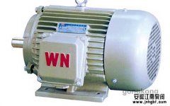 化工泵電機常見問題小結