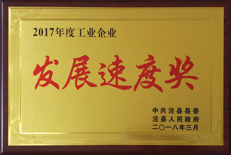 2017發展速度獎
