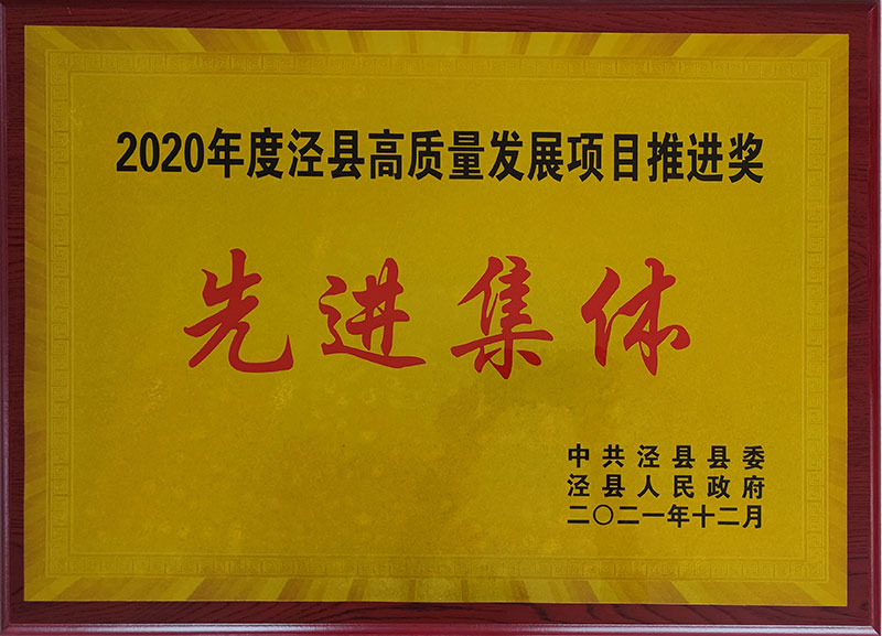 2020年度涇縣高質量發展項目推進獎先進集休